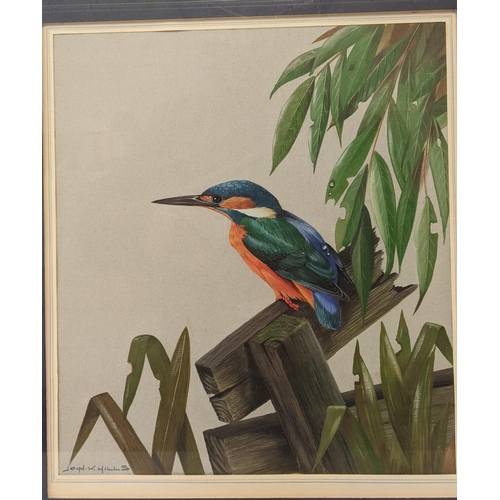 351 - John W Hills - a watercolour depicting a kingfisher, together with a print depicting West India Dock... 