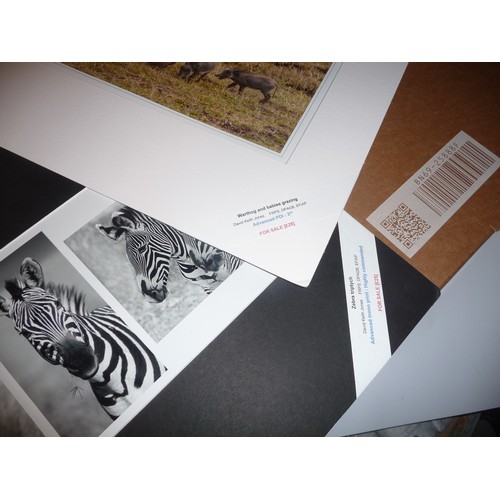 320 - Over 40 African wildlife mounted photographs both colour and Black & White by celebrated photographe... 