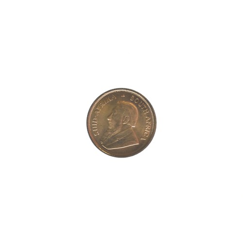 6 - South Africa - 1981 ⅒ Krugerrand, springbok dividing date,  '1/10oz Fine Gold' below,