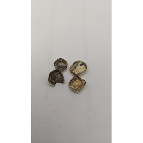 210 - Gold teeth, total weight 8.1g Location: C5
If there is no condition report shown, please request