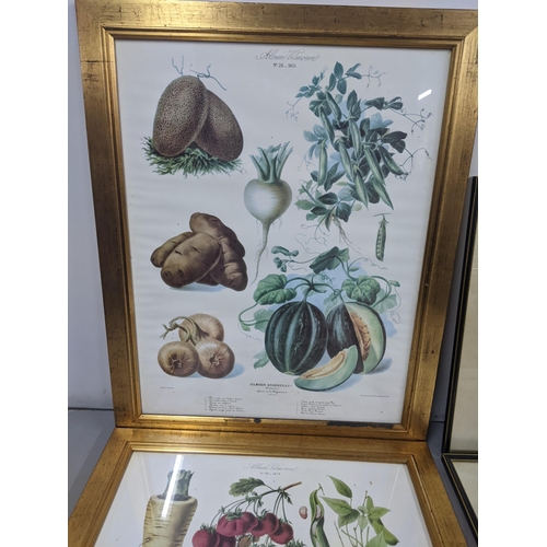 69 - A mixed lot to include four prints - two hunting prints and two vegetable related prints, along with... 