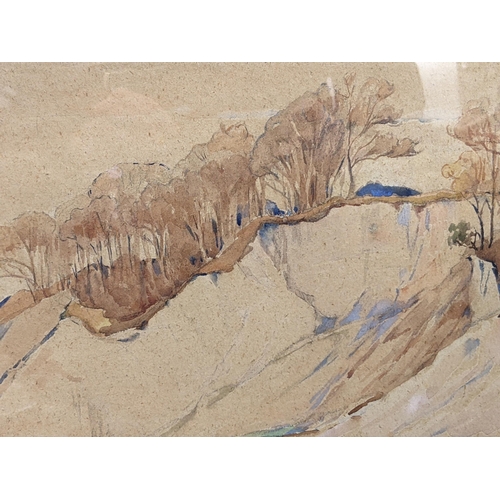 75 - A watercolour landscape depicting woodland on a hillside, signature to lower right, Mary McNichol Wr... 