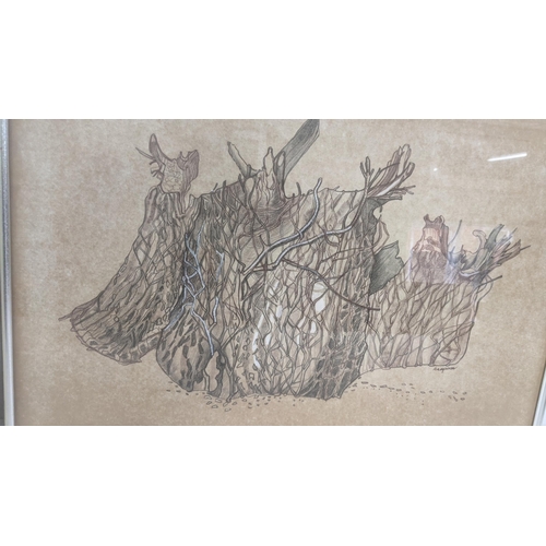 323 - Elizabeth Lampson - three drawings with colour, one example titled 'Rock of Roots, an example depict... 