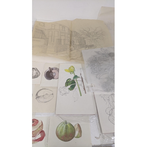 333 - A selection of Elizabeth Lampson's artwork, sketches, drawings and paintings to include still lives,... 