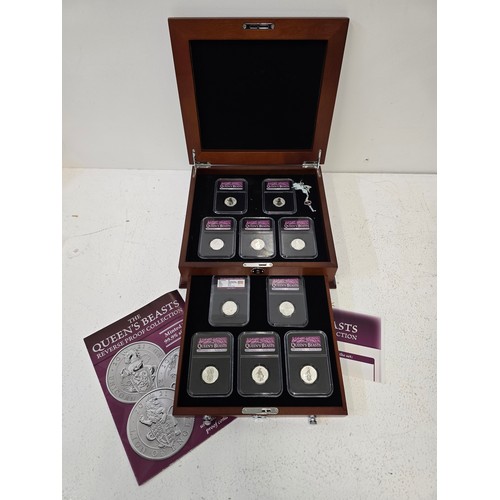 Lot 23        