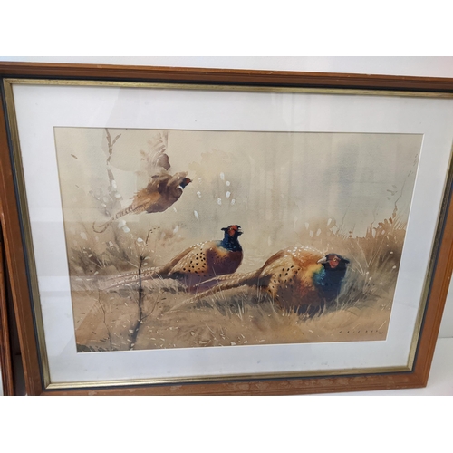 12 - Eric Day - studies of pheasants, partridges, swans and foxes, four watercolours, largest 59.5cm x 45... 