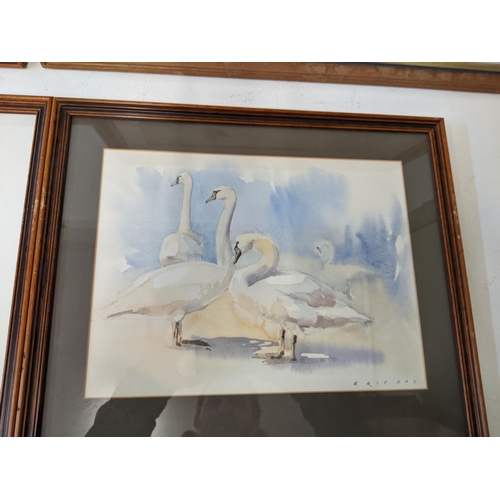 12 - Eric Day - studies of pheasants, partridges, swans and foxes, four watercolours, largest 59.5cm x 45... 