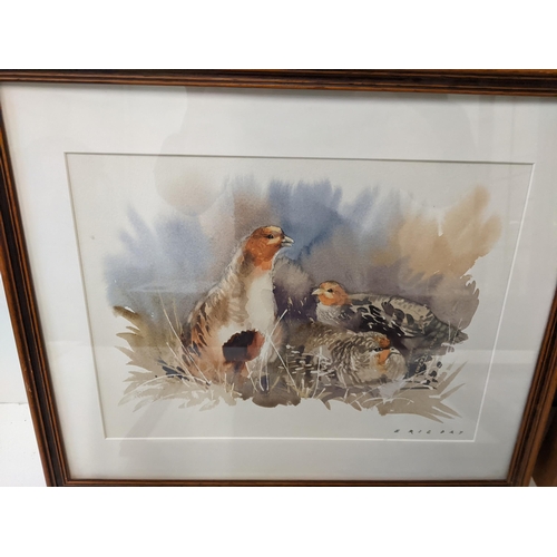 12 - Eric Day - studies of pheasants, partridges, swans and foxes, four watercolours, largest 59.5cm x 45... 