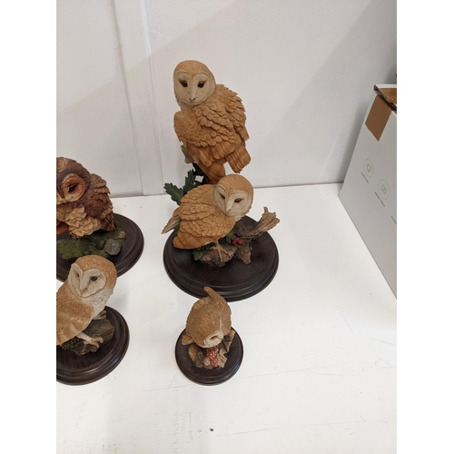 24 - Country Artist models of barn owls, six various sizes, largest 26.5cm high
Location: 8.3
If there is... 