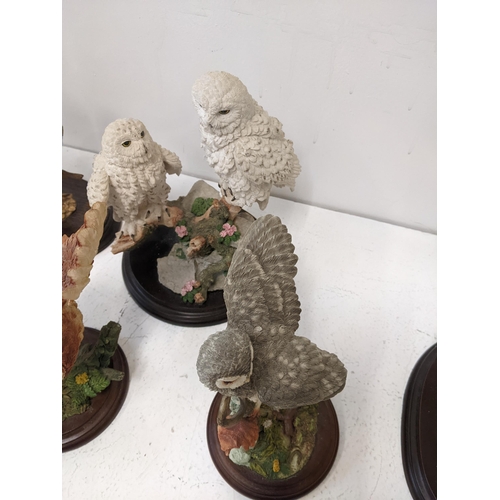 A collection of mostly owl related country artists figurines to