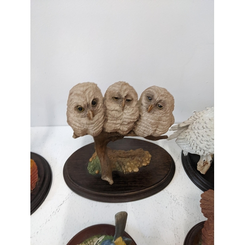 A collection of mostly owl related country artists figurines to