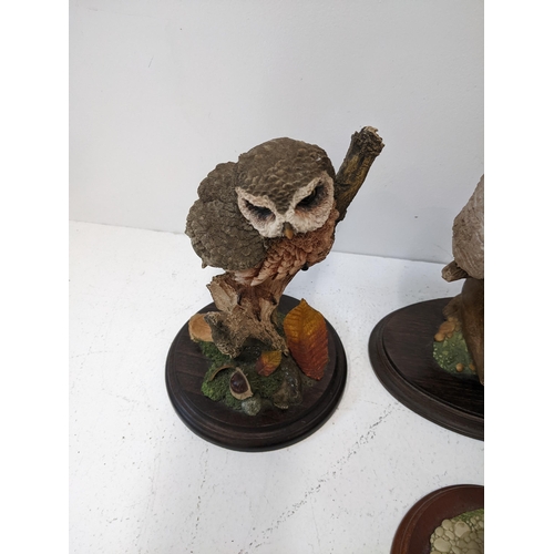 A collection of mostly owl related country artists figurines to