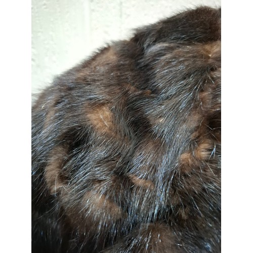 53 - A 1970's dark brown ranch mink coat with matching belt having a shawl collar and tapered waist, appr... 