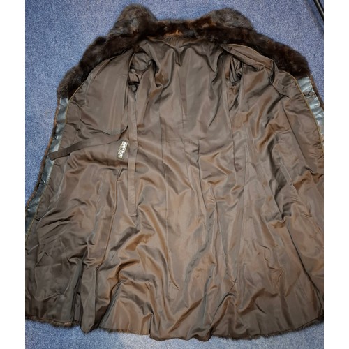 53 - A 1970's dark brown ranch mink coat with matching belt having a shawl collar and tapered waist, appr... 