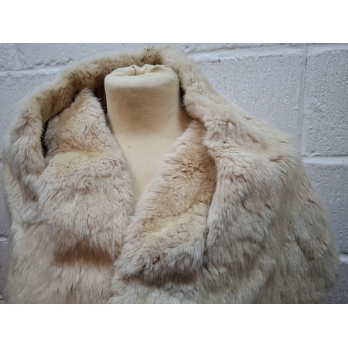 53 - A 1970's dark brown ranch mink coat with matching belt having a shawl collar and tapered waist, appr... 