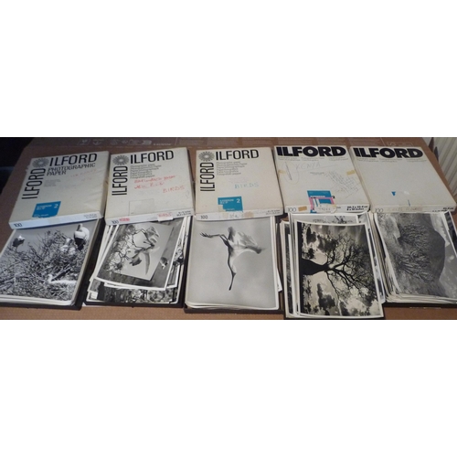 Lot 58        