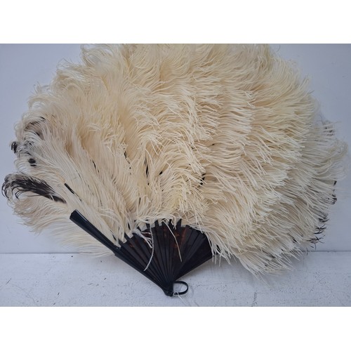 39 - An early 20th Century tortoiseshell and cream ostrich feather fan having 2 guards and 18 sticks toge... 
