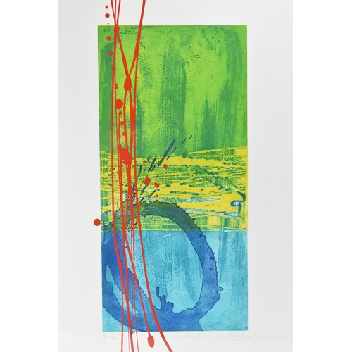 67 - Charlotte Cornish (B.1967) An abstract signed printed entitled 'Equating II', signed to the margin, ... 