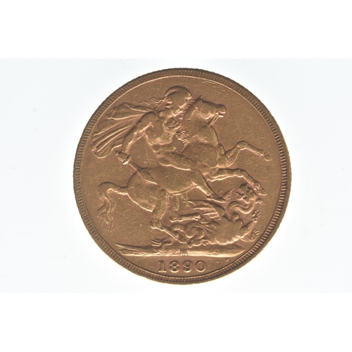 Lot 14        