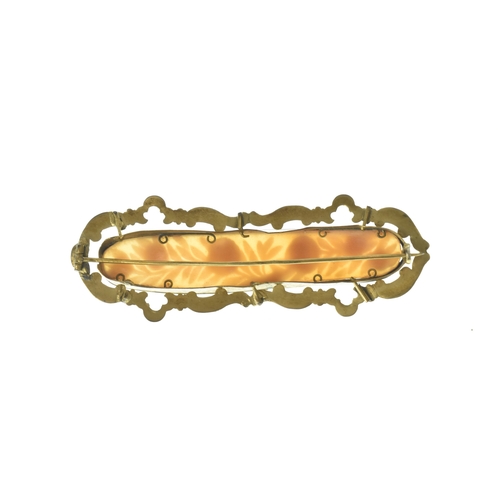 37 - A Victorian carved shell cameo gold plated brooch, the elongated vertical panel carved with a natura... 