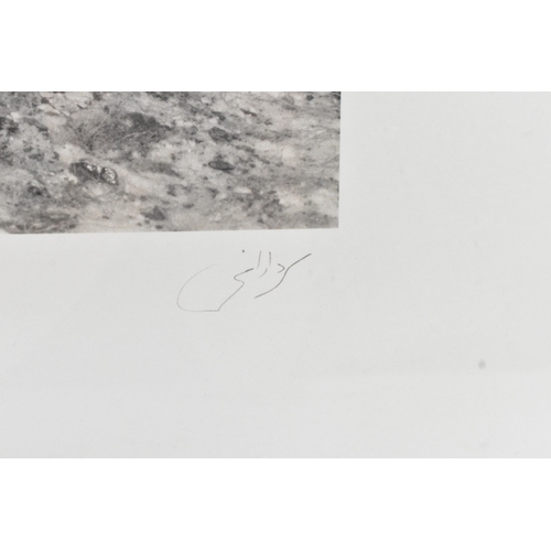 16 - Hamid Sardar-Afkhami (B.1966) A limited edition Artists Proof print entitled 'Eagles Bring Down Wolf... 