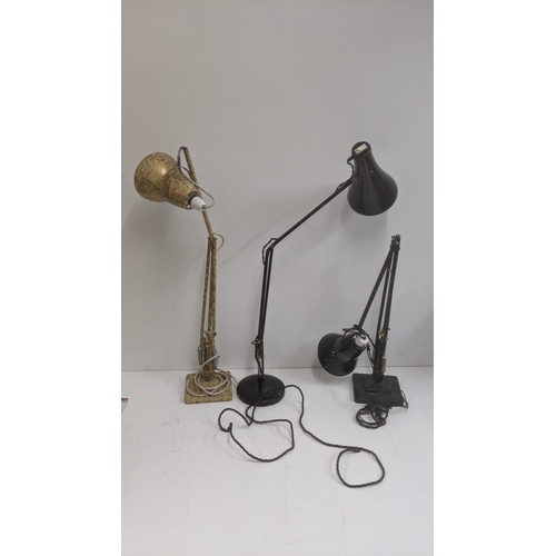 Lot 267       