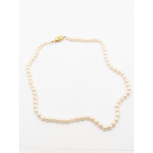 51 - A string of pearls necklace with 18ct yellow gold clasp 46cm L
Location:C1
If there is no condition ... 