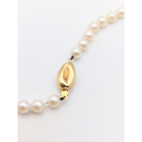 51 - A string of pearls necklace with 18ct yellow gold clasp 46cm L
Location:C1
If there is no condition ... 