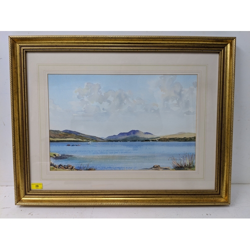 Lot 29        