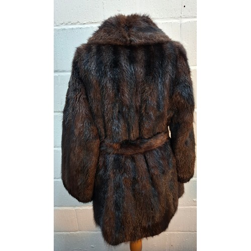 26 - A late 20th Century very dark brown and black striped mink coat with matching belt and brown satin l... 