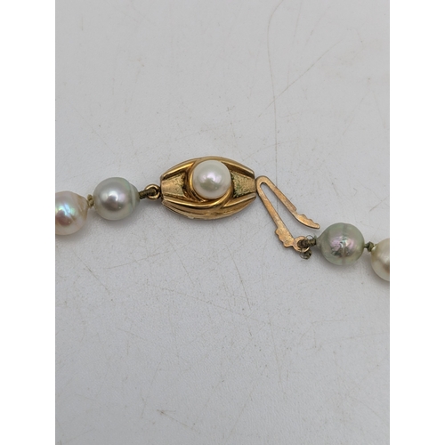 55 - A 9ct yellow and pearl bracelet with a spring ring clasp 19.5cm L 2.1g together with a pearl necklac... 