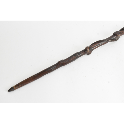 11 - A late 19th/early 20th century hardwood carved walking stick, the shaft carved in relief with a clim... 