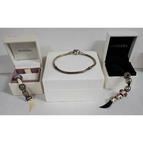 Lot 25        