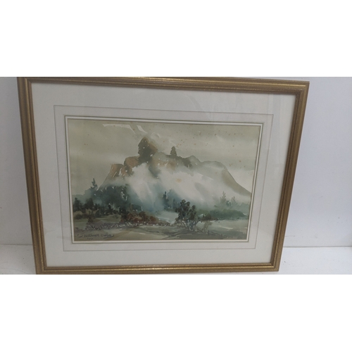 Lot 49        