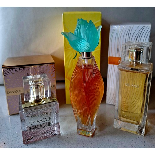 Lot 20        