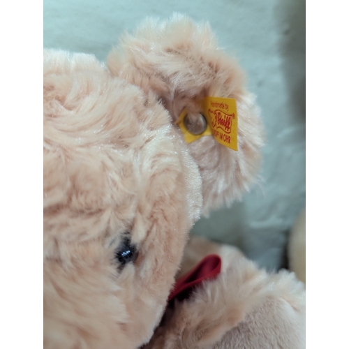 41 - A collection of modern teddy bears to include 2020 Steiff and a Steiff Club example, Ty beanie babie... 