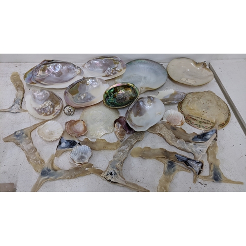 Lot 25        