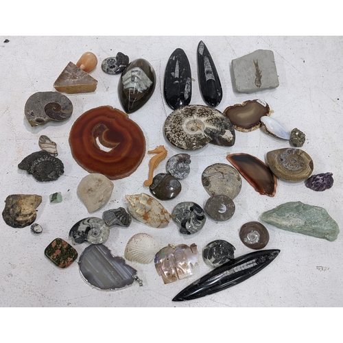 Lot 29        