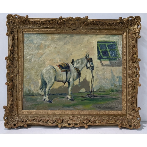 Lot 35        