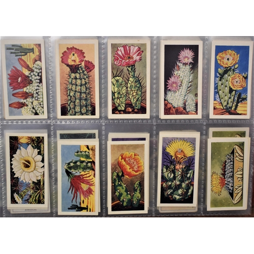 179 - Cigarette Cards - Gardening, Flowers and shrubs. A collection in an album in plastics. (100's)