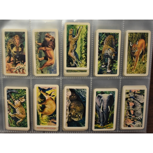 182 - Brooke Bond (Canada) Twelve sets, EX in plastics. 1960/62 Animals of North America mixed set, Roland... 