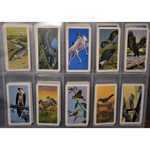 182 - Brooke Bond (Canada) Twelve sets, EX in plastics. 1960/62 Animals of North America mixed set, Roland... 