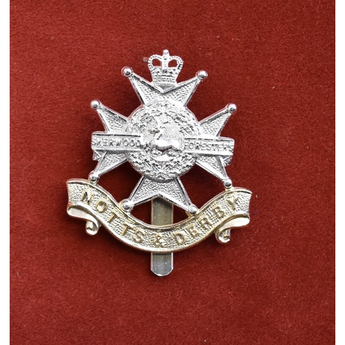 180 - The Sherwood Foresters (Nottinghamshire and Derbyshire Regiment) EIIR Cap Badge (Anodised), slider a... 