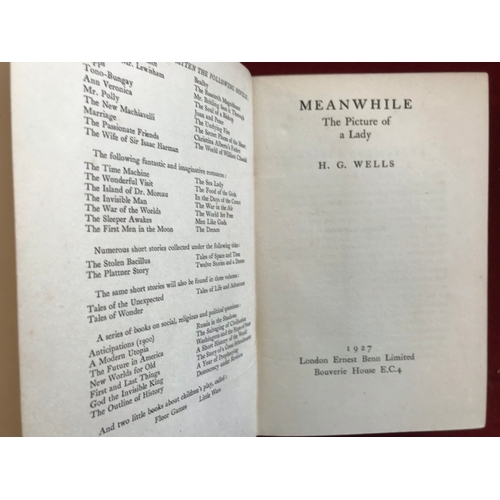 385 - Meanwhile: The Picture of a Lady First edition, 1927