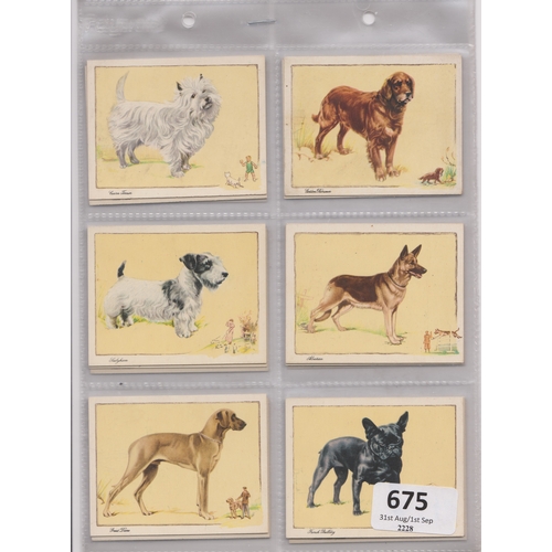 675 - Gallaher Ltd Dogs (caption un script) 1934 set  L24/24 VG