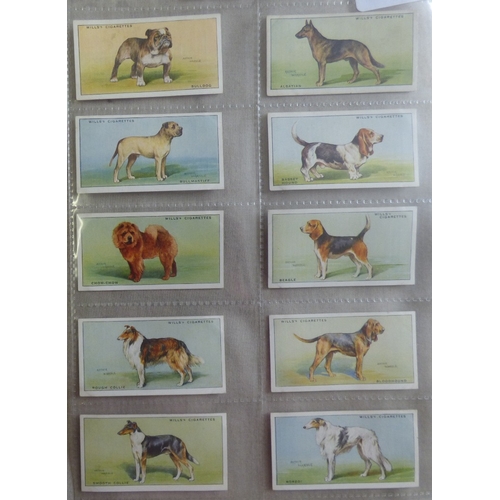 108 - WD & HO Wills Ltd 2 Full Sets, Dogs A 1937 Set 50/50 cards and Channel Island Issue Dogs 1937 Set 50... 