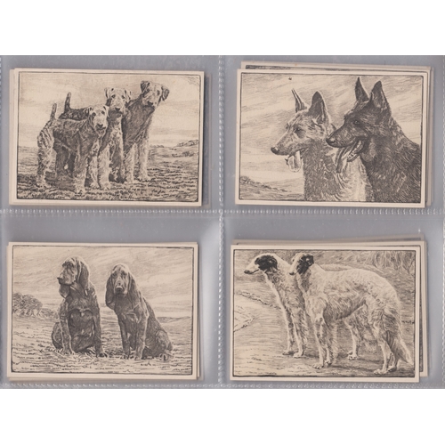 29 - Ardath Tobacco Co Ltd Dog Studies 1938 set X25/X25 cards VGC