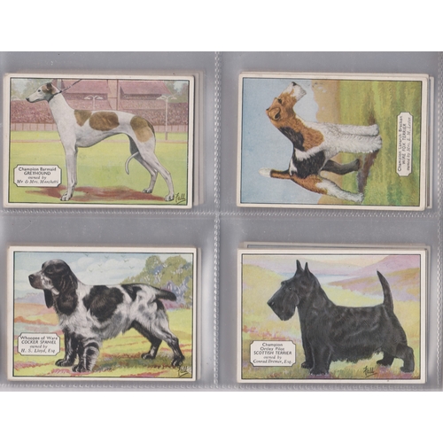 31 - Ardath Tobacco Co Ltd Champion Dogs, 1934 set X25/X25 cigarette cards, VGC features Great Dane, Dalm... 