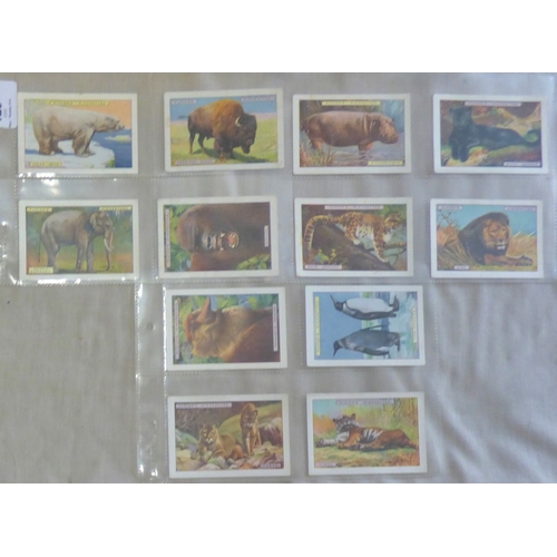 62 - John Player & Sons cigarette cards 3 sets, Old Hunting Prints 1936 set L25/25 cards, Natural History... 