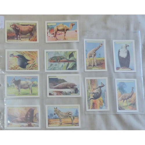 62 - John Player & Sons cigarette cards 3 sets, Old Hunting Prints 1936 set L25/25 cards, Natural History... 